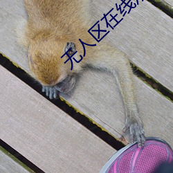 无人区在线观看免费视频国 （首映）