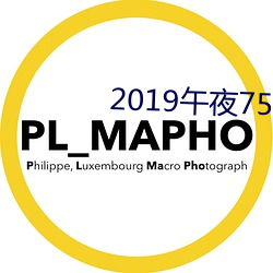 2019午夜75福利不卡片在线