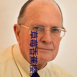 草莓香蕉樱桃黄瓜丝瓜榴莲污榴绿巨人 （五体投诚）