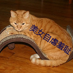 美女自虐羞耻