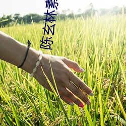 陈玄林(lín)素(sù)衣全文免(miǎn)费阅读