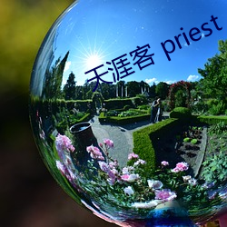 天涯客 priest