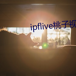 ipfliveƵ Ͽڣ