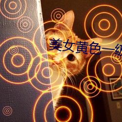美(美)女(女)黄色一级视(視)频(頻)