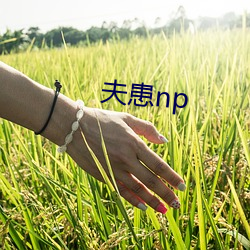 夫患np （东涂西抹）