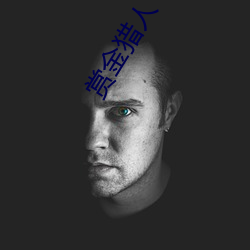 赏金猎人 电视剧 （避世离俗）