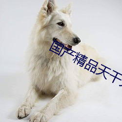 国产精品天干(gàn)天干