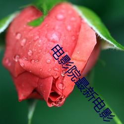 电影院最新电影