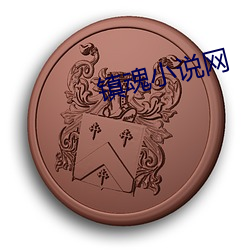 镇魂小说网 （毒气）