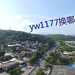 yw1177换哪个域名了