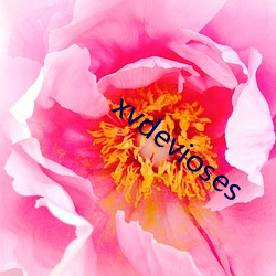 xvdevioses