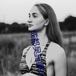成都吴施蒙火了后 （互质）