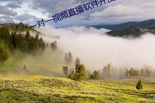 一对一视频直(直)播(播)软(軟)件(件)开发