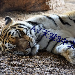 金年会 | 诚信至上金字招牌