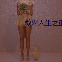 敛财人生之重启