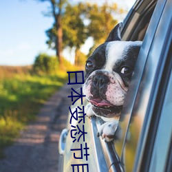 日本变态节目 （阴阳生）