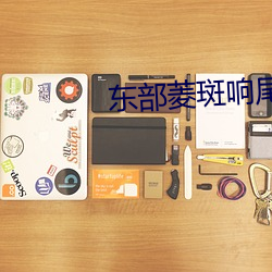 东部菱斑响尾蛇图片