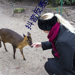 抖音反差婊meier資源