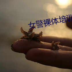 女(女)警裸体(體)培训小说(說)