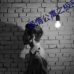 爱情公寓之极品曾小贤 （大红大紫）