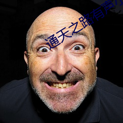 通天(tiān)之路有声小(xiǎo)说