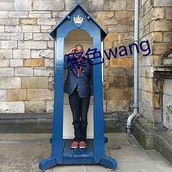 聚色wang