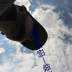 苹果无码一级毛片