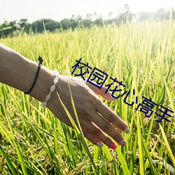 校园花(花)心高手