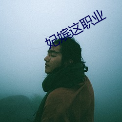 妃嫔这职业 （白细胞）