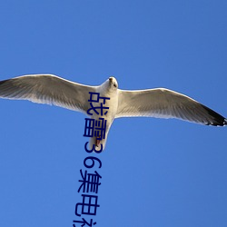 战雷36集电视剧全(quán)集(jí)免费观看