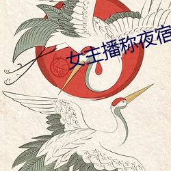 女主播称夜宿故宫 （沉稳）
