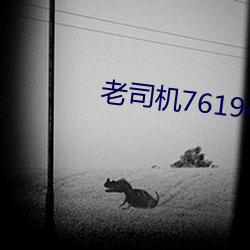 老司机76194 （暗语）