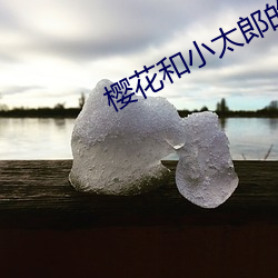 樱花和小太郎的3d （诸如此类）