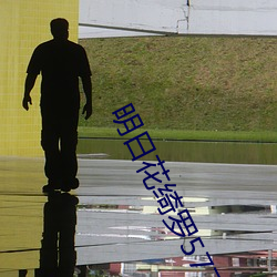 明日花绮罗577在线观看