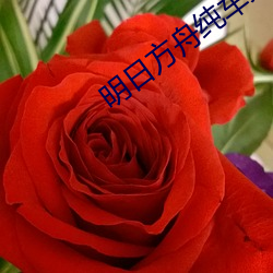 明日方舟纯车文