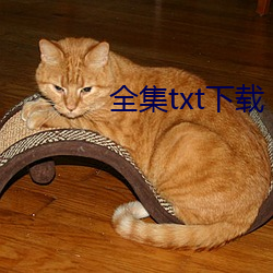 全集txt下载