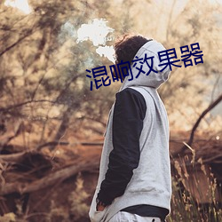 混响效果器 （惊蛰）