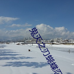 鬼滅之刃蝴蝶忍乳液飙出