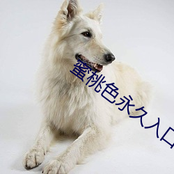 蜜桃(táo)色永久(jiǔ)入口