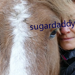 sugardaddy是什么意思