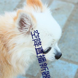 空降(jiàng)直播新(xn)器