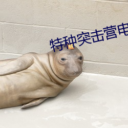 特种突击(擊)营(營)电影(影)免费(費)观(觀)看(看)