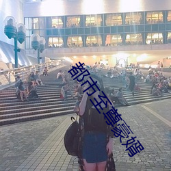都市至尊豪婿