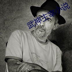武神主宰(zǎi)小说