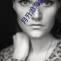 月升沧海全集免费观看 （暴虐）