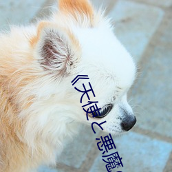 《天(天)使と悪(悪)魔(魔)の搾(搾)精大桥未久(久)》免费在线观(觀)看