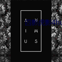 四影虎影4hu23scom