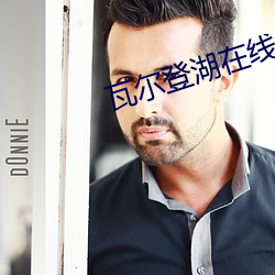 瓦尔(爾)登湖在线(線)阅(閱)读