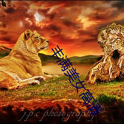 金年会 | 诚信至上金字招牌