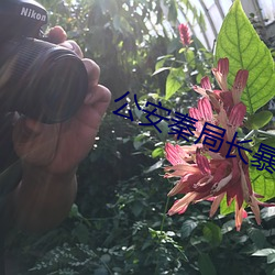 公安秦局长暴干警花孟秋兰